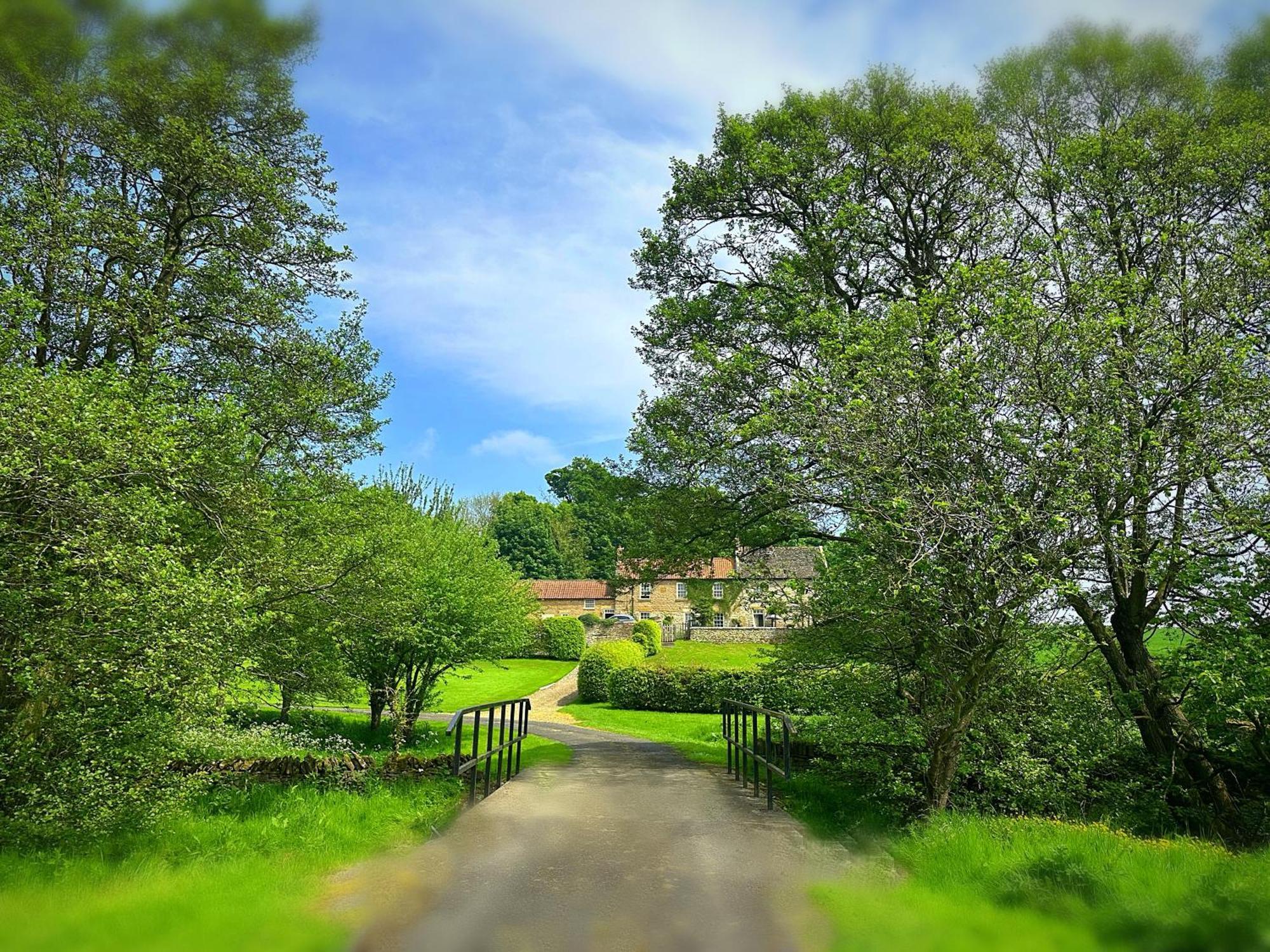 Old Orchard Cottage, Wykeham Σκάρμπορο Εξωτερικό φωτογραφία